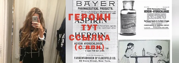 прущие грибы Богородицк