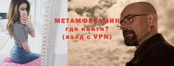 прущие грибы Богородицк