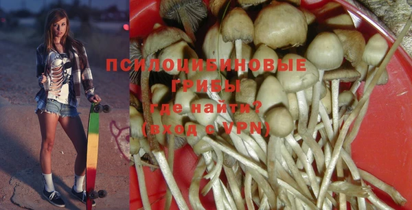 ГАЛЛЮЦИНОГЕННЫЕ ГРИБЫ Белокуриха
