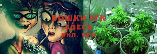 прущие грибы Богородицк