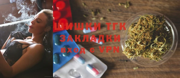 прущие грибы Богородицк