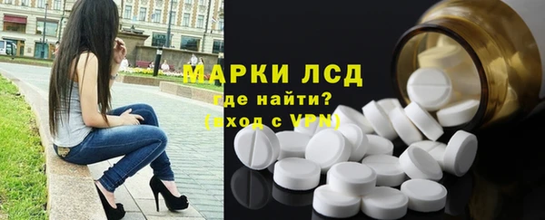 прущие грибы Богородицк