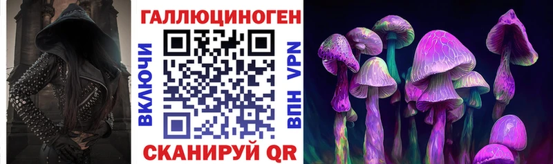 Псилоцибиновые грибы Psilocybine cubensis  Губкинский 